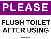 Please Flush Toilet
