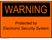 Electronic Security