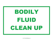 Bodily Fluid Clean Up Kit