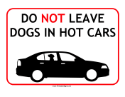 Dogs Hot Cars