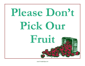 Don't Pick Fruit