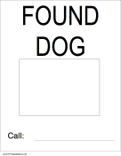 Found Dog with Picture