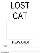 Lost Cat with Picture