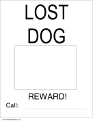 Lost Dog with Picture