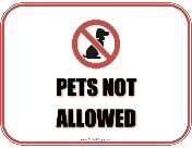 Pets Not Allowed
