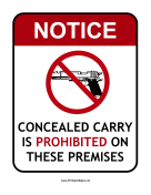 Prohibited Concealed Carry