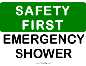 Safety Emergency Shower 2