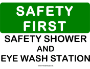 Safety Shower and Eyewash