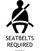 Seatbelts Required with caption