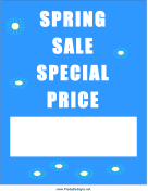 Spring Sale Special Price