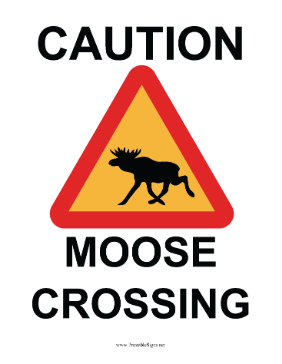 Caution Moose Crossing Sign