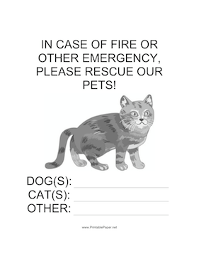 Emergency Rescue for Cat Sign