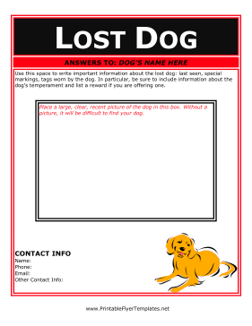 Flyer For Lost Dog Sign