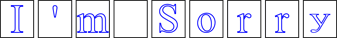 Im Sorry Sign