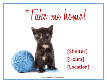 Kitten Adoption Flyer Sign
