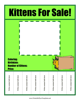 Kittens For Sale Flyer Sign