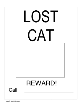 Lost Cat with Picture Sign