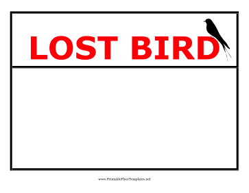 Lost Bird Flyer Sign