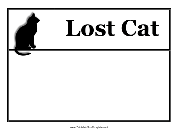 Lost Cat Flyer Sign