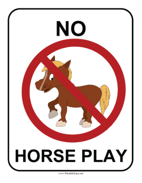 No Horse Play Sign Sign