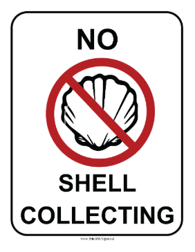 No Shell Collecting Sign