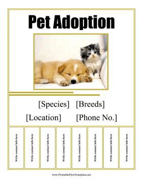 Pet Adoption Flyer Sign