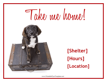 Puppy Adoption Flyer Sign