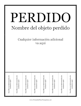 Volante Para Objeto Perdido Sign