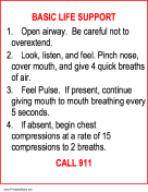 Basic Life Support