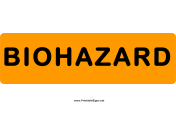 Biohazard 2