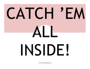 Catch Em Color