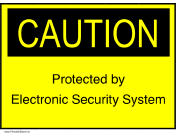 Electronic Security