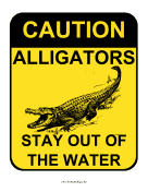 Caution Alligators