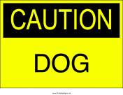 Dog