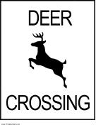Deer Crossing