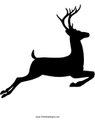 Deer Crossing
