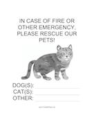 Emergency Rescue for Cat