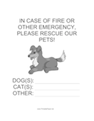 Emergency Rescue for Dog