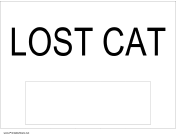 Lost Cat