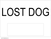 Lost Dog