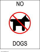 No Dogs Allowed