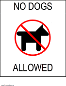 No Dogs Allowed