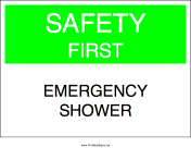 Emergency Shower