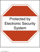 Electronic Security