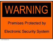 Electronic Security System