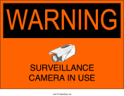 Surveillance Camera In Use
