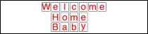 Welcome Home Baby sign